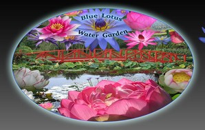 For More information, click HERE for their website For More information, click HERE for their website